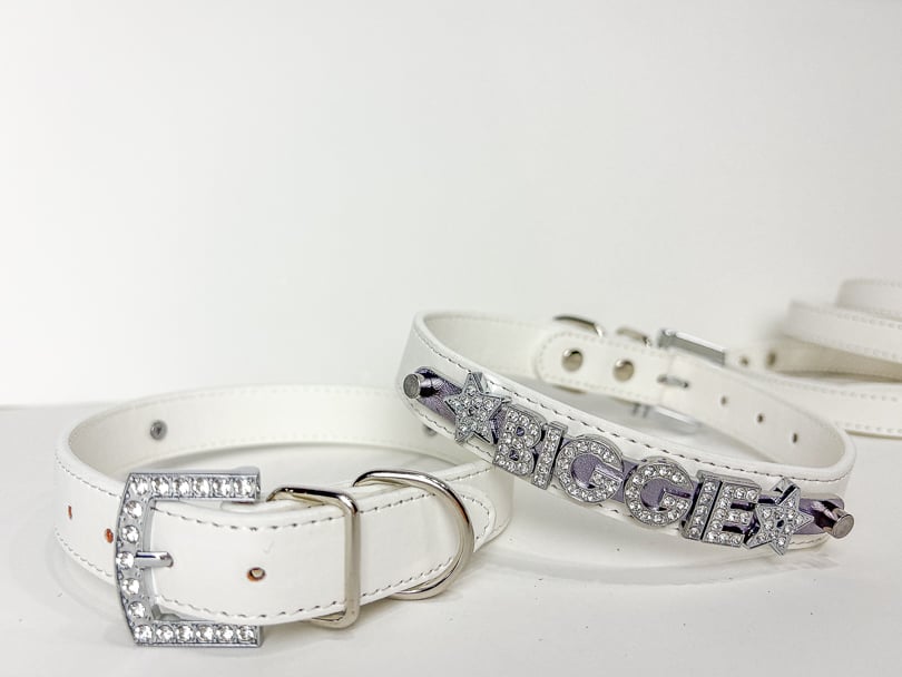 White Spirit Series Personalized Collar | 9 Color Options
